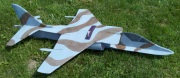 harrier-painted-180.jpg